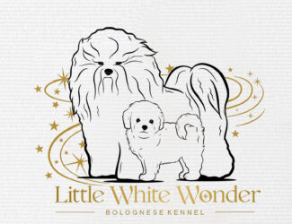 Kennel Little White Wonder
